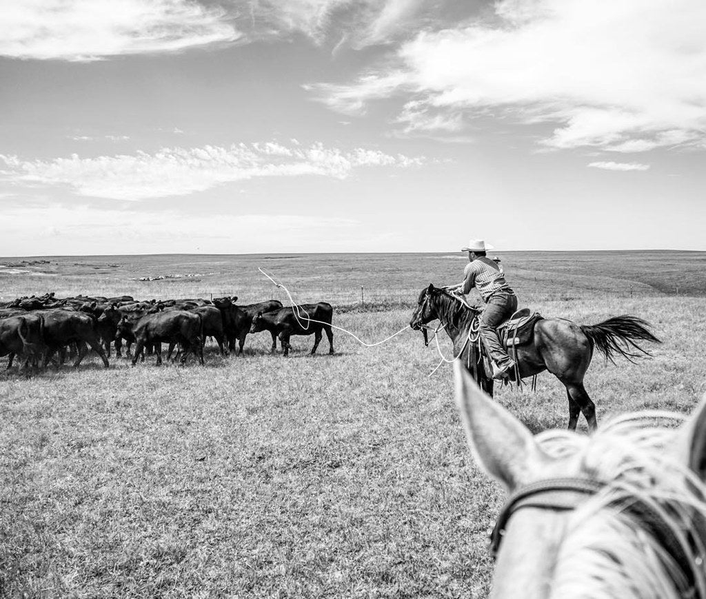 Q & A with Dr. Lee Thornton — Founder of BUCKiT RANCH