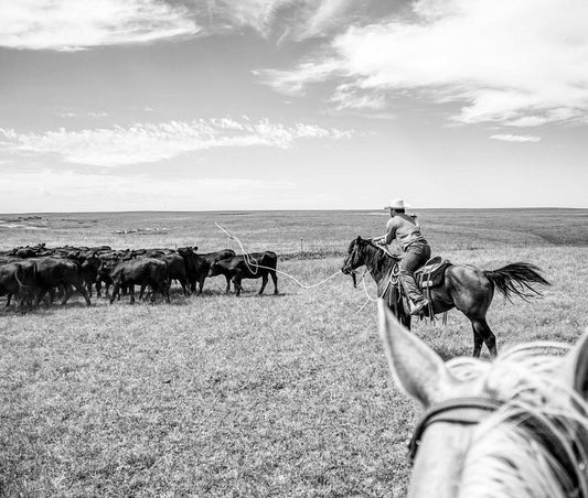 Q & A with Dr. Lee Thornton — Founder of BUCKiT RANCH